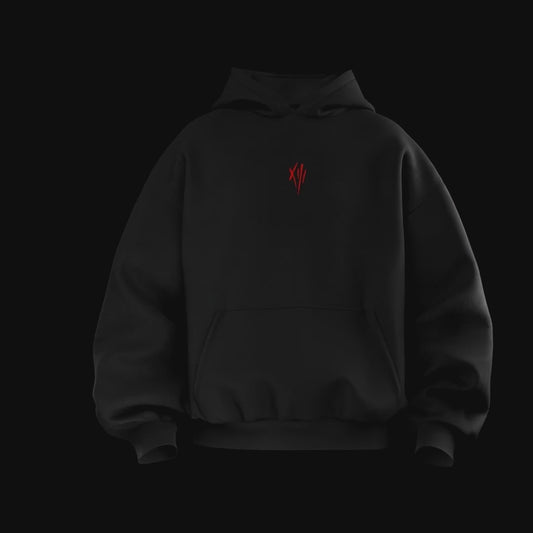 Hoodie - LEDC TOUR